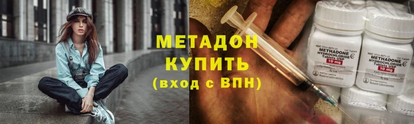 шишки Осинники