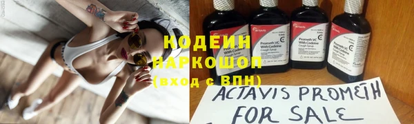 хмурый Абаза