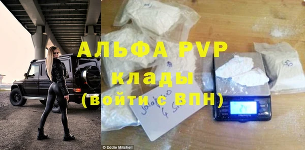 шишки Осинники