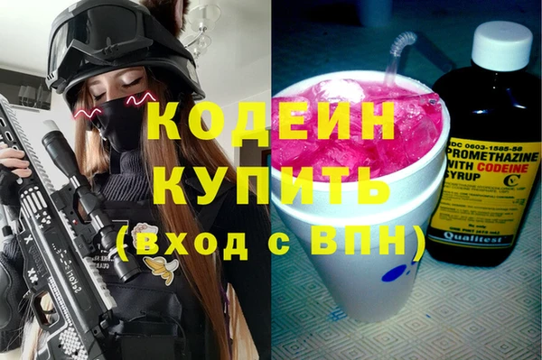 шишки Осинники
