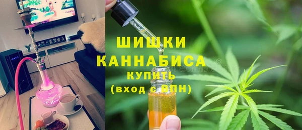 хмурый Абаза