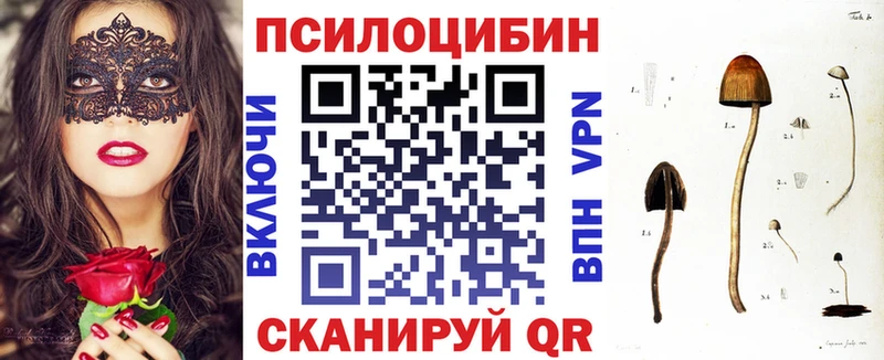 Псилоцибиновые грибы GOLDEN TEACHER  где можно купить наркотик  Мамадыш 
